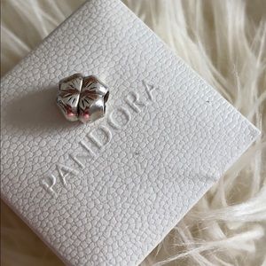 Pandora charm original